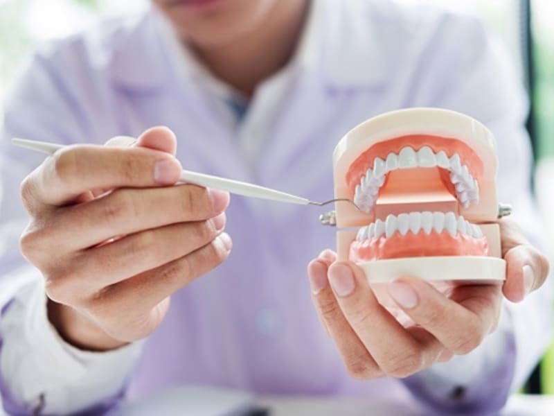Dentist demonstrating preventative dental practice using a tooth model and dental tool.